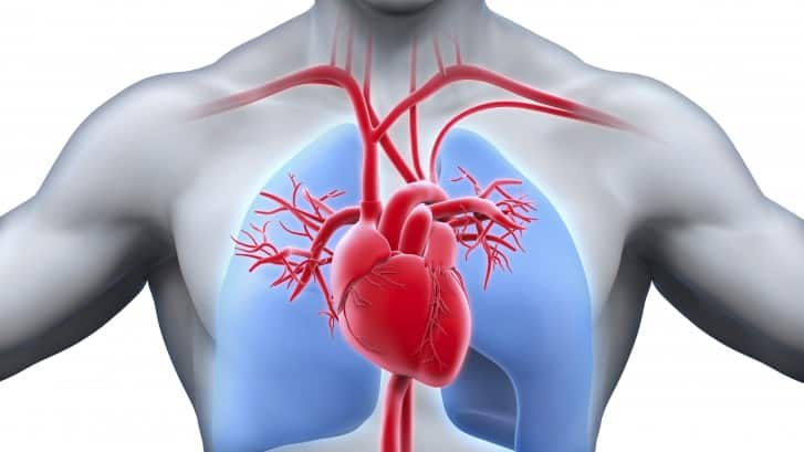 Heart Checkup - Dr. Debabrata Sarkar
